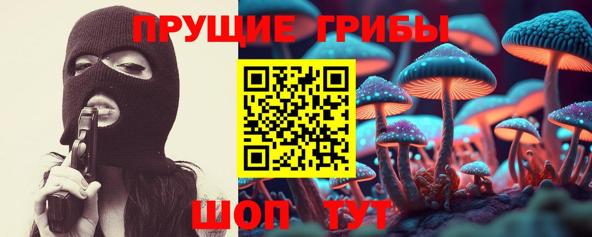Псилоцибиновые грибы MAGIC MUSHROOMS Кингисепп