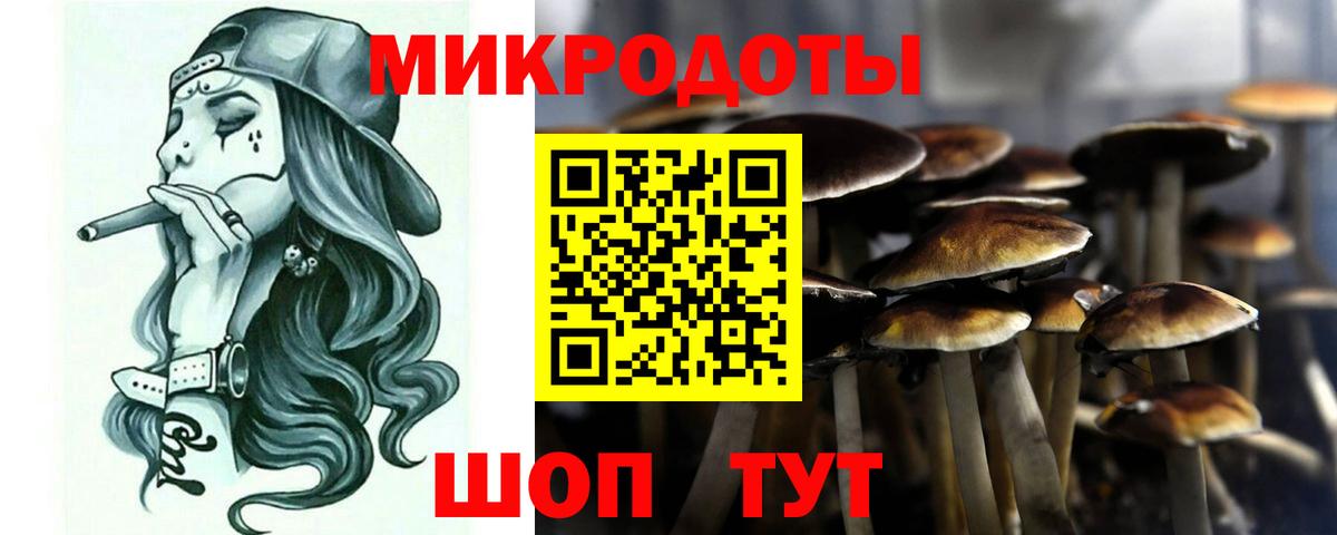 Кингисепп  Галлюциногенные грибы GOLDEN TEACHER  наркотики  Вход с VPN  Псилоцибиновые грибы Psilocybine cubensis 